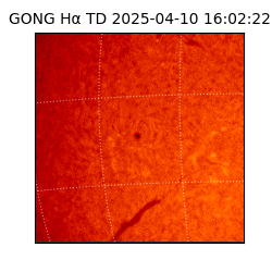 gong - 2025-04-10T16:02:22