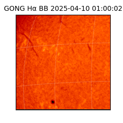 gong - 2025-04-10T01:00:02