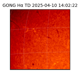 gong - 2025-04-10T14:02:22