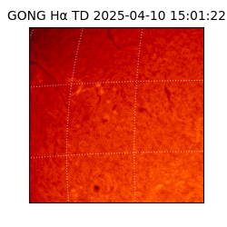 gong - 2025-04-10T15:01:22