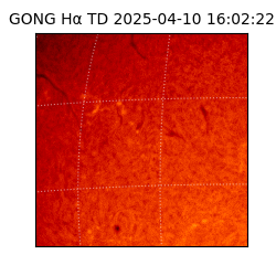 gong - 2025-04-10T16:02:22