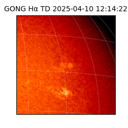 gong - 2025-04-10T12:14:22