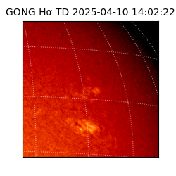 gong - 2025-04-10T14:02:22