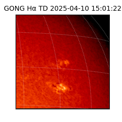 gong - 2025-04-10T15:01:22
