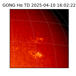 gong - 2025-04-10T16:02:22