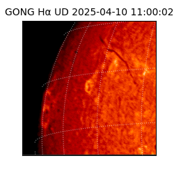 gong - 2025-04-10T11:00:02