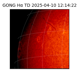 gong - 2025-04-10T12:14:22