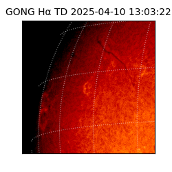 gong - 2025-04-10T13:03:22