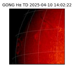 gong - 2025-04-10T14:02:22
