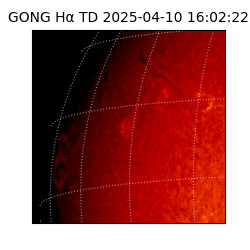 gong - 2025-04-10T16:02:22