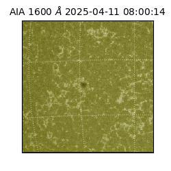 saia - 2025-04-11T08:00:14.130000