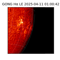 gong - 2025-04-11T01:00:42