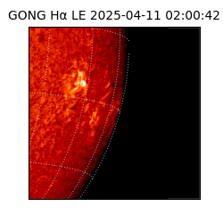 gong - 2025-04-11T02:00:42