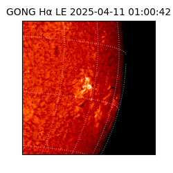 gong - 2025-04-11T01:00:42