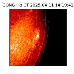 gong - 2025-04-11T14:19:42
