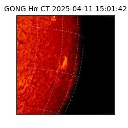 gong - 2025-04-11T15:01:42