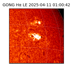 gong - 2025-04-11T01:00:42