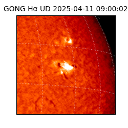 gong - 2025-04-11T09:00:02