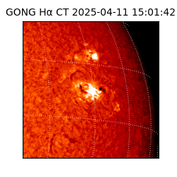gong - 2025-04-11T15:01:42
