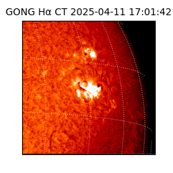 gong - 2025-04-11T17:01:42