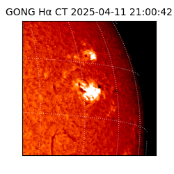 gong - 2025-04-11T21:00:42