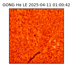 gong - 2025-04-11T01:00:42