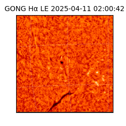 gong - 2025-04-11T02:00:42