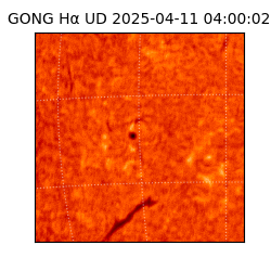 gong - 2025-04-11T04:00:02