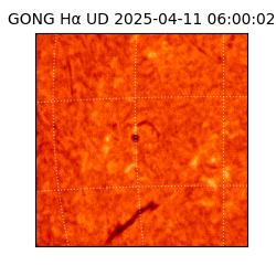 gong - 2025-04-11T06:00:02