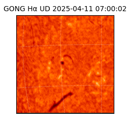 gong - 2025-04-11T07:00:02