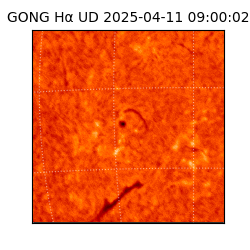 gong - 2025-04-11T09:00:02