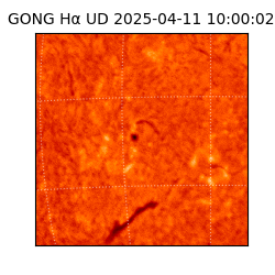 gong - 2025-04-11T10:00:02