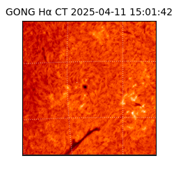 gong - 2025-04-11T15:01:42