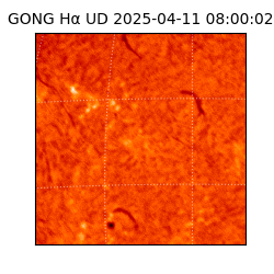 gong - 2025-04-11T08:00:02