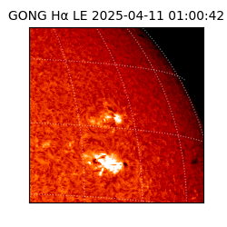 gong - 2025-04-11T01:00:42