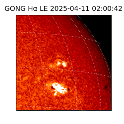 gong - 2025-04-11T02:00:42