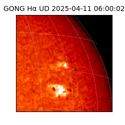 gong - 2025-04-11T06:00:02