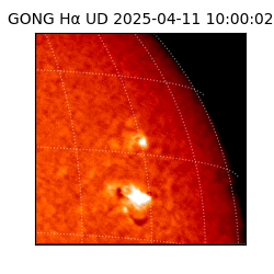 gong - 2025-04-11T10:00:02