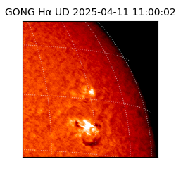 gong - 2025-04-11T11:00:02