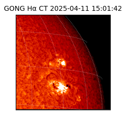 gong - 2025-04-11T15:01:42