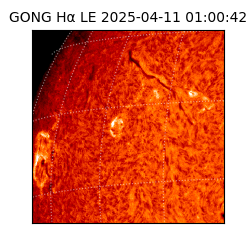 gong - 2025-04-11T01:00:42