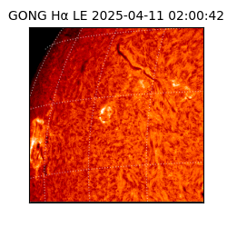 gong - 2025-04-11T02:00:42