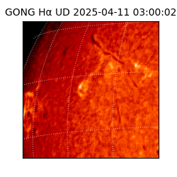 gong - 2025-04-11T03:00:02