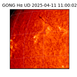 gong - 2025-04-11T11:00:02