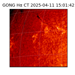 gong - 2025-04-11T15:01:42