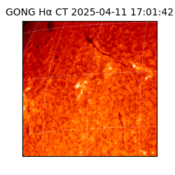 gong - 2025-04-11T17:01:42