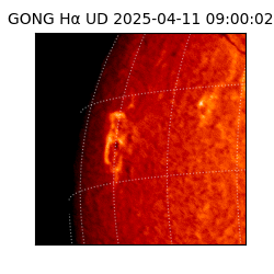 gong - 2025-04-11T09:00:02