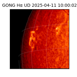 gong - 2025-04-11T10:00:02