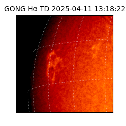 gong - 2025-04-11T13:18:22