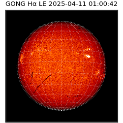 gong - 2025-04-11T01:00:42